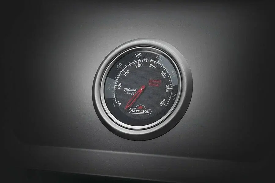 Газовый гриль Napoleon Freestyle 425 SIB D (с дверкой)
